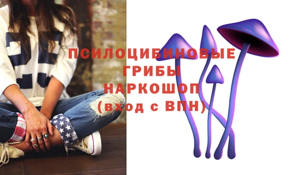 гидропоника Горнозаводск
