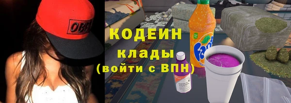 скорость Вяземский