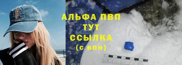 гидра Горняк