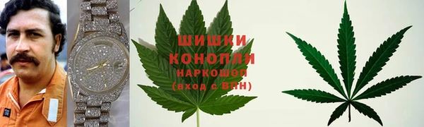 скорость Вяземский