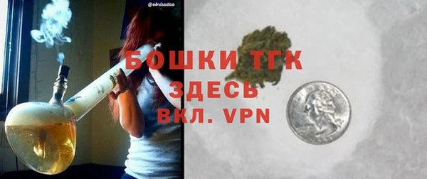 гидропоника Горнозаводск