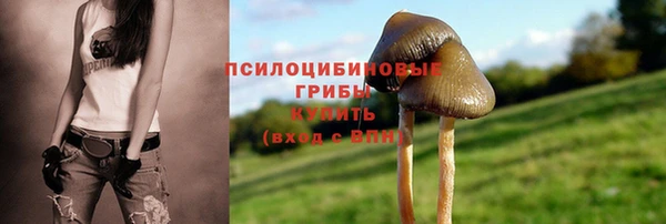 гидра Горняк
