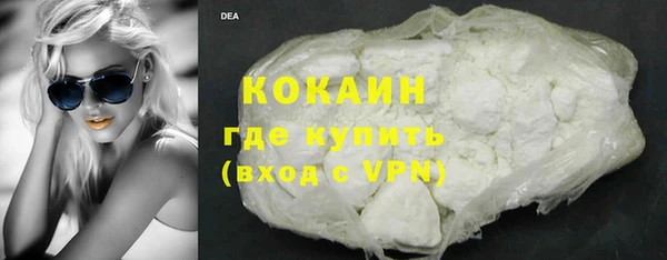 гидра Горняк