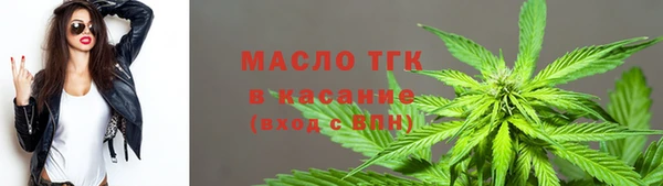 скорость Вяземский