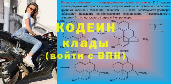 гидра Горняк
