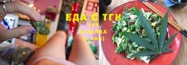 гидра Горняк