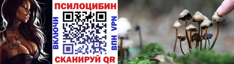 kraken маркетплейс  Звенигово  Галлюциногенные грибы ЛСД 
